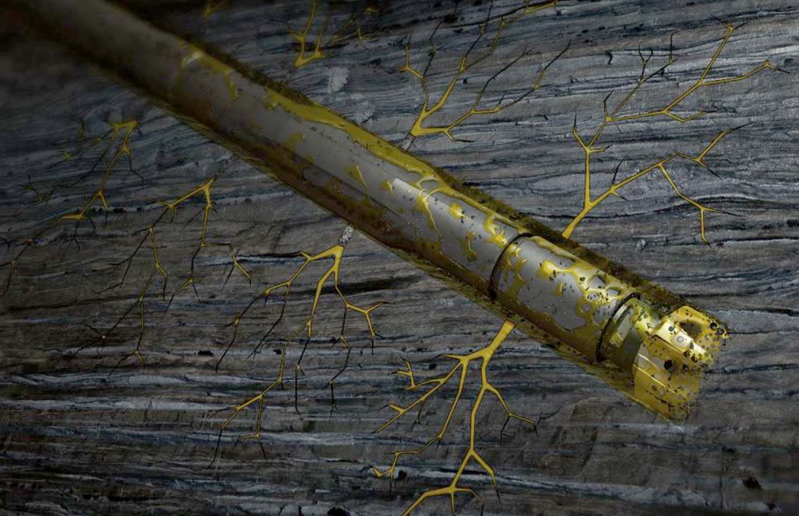 loss circulation materials & additives